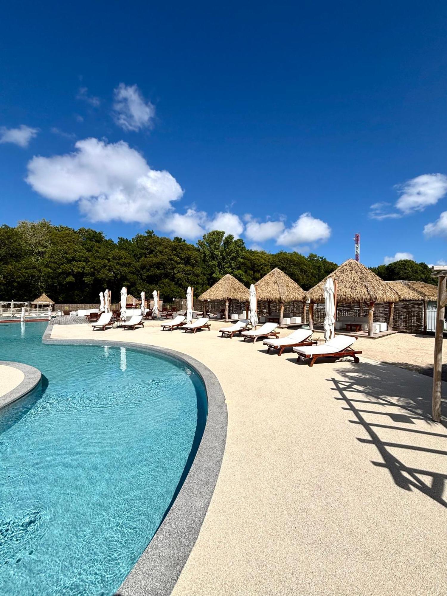 La Bulle De Maloma - Piscine, Blue Dream, Plage Grand-Bourg  Экстерьер фото